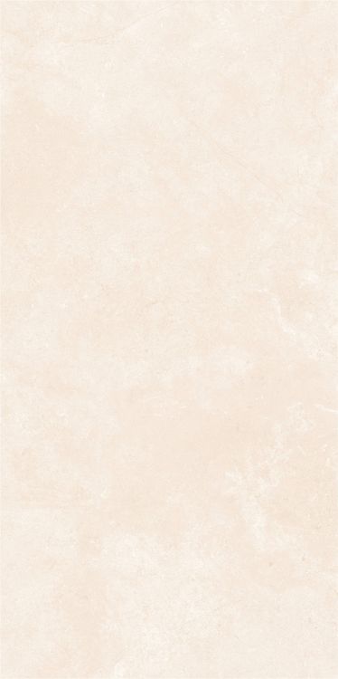 OL Marfil Matte 24 x 48
